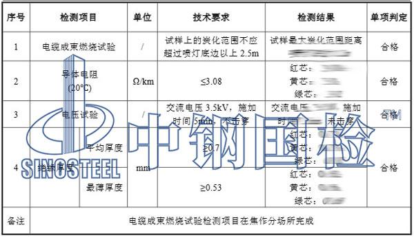 成束燃烧试验检测项目结果